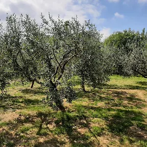 La Casetta Di Bianca Riccò del Golfo di Spezia